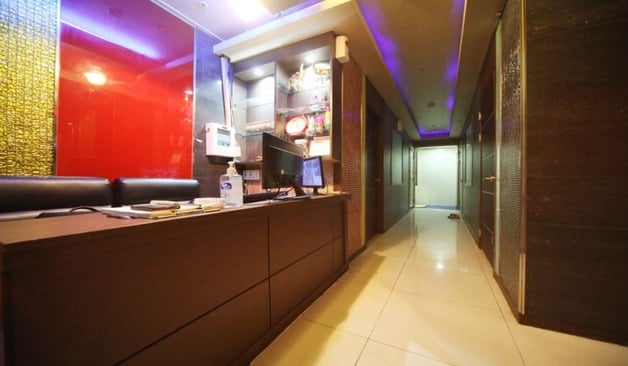 강남 역삼동 개나리