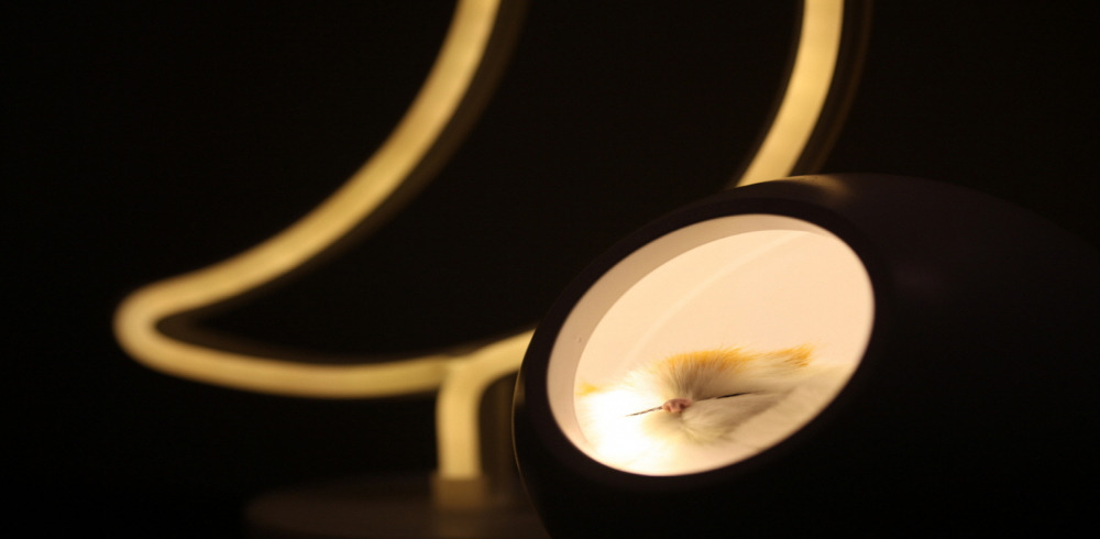 용산 델루나테라피 조명등