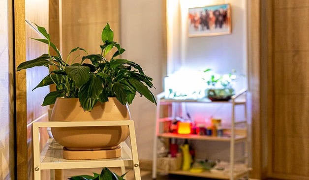 아산 온양온천역 허니바디케어