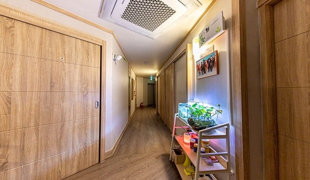 아산 온천동 허니바디케어 정보