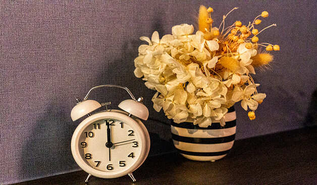 송파 문정동 라보떼 시계와 식물 실제 샵사진