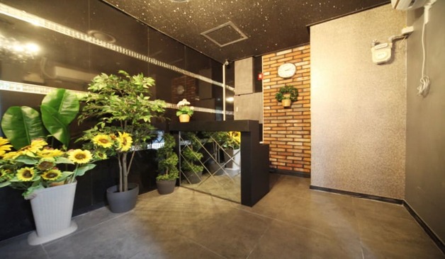 영천동 한테라피