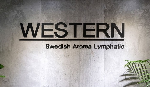 웨스턴스웨디시 로고