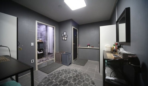 일산 아반타이 업체 정보