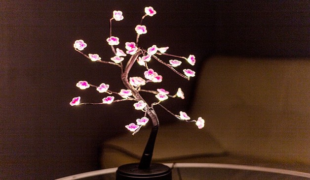 제주 연동 파타야 소개