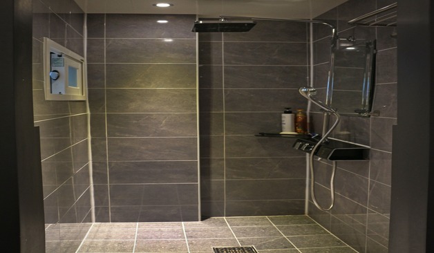 대전 유성 바니스웨디시