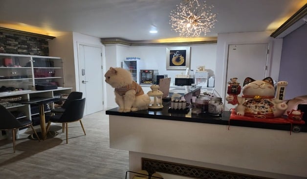 대전 츄 스웨디시