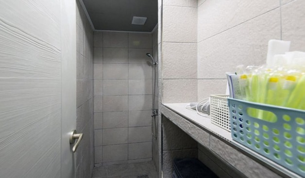 비비드스웨디시