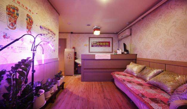 분당 금곡동 수아로마