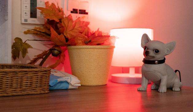 강남 역삼역 벤츠스웨디시 정보