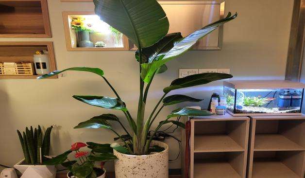 춘천 지첸테라피 거실