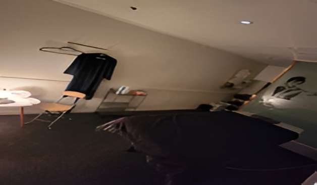 김해 크림스웨디시