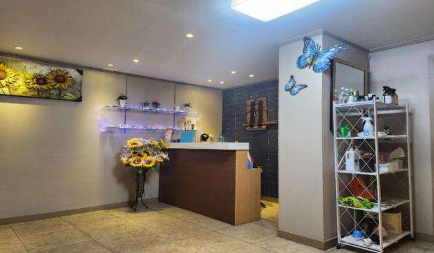 제주 연동 정다운아로마