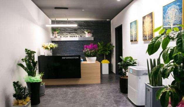 원주 뉴블랙스웨디시