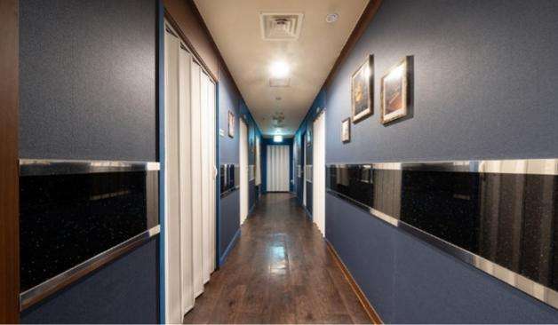 비올라스웨디시 복도