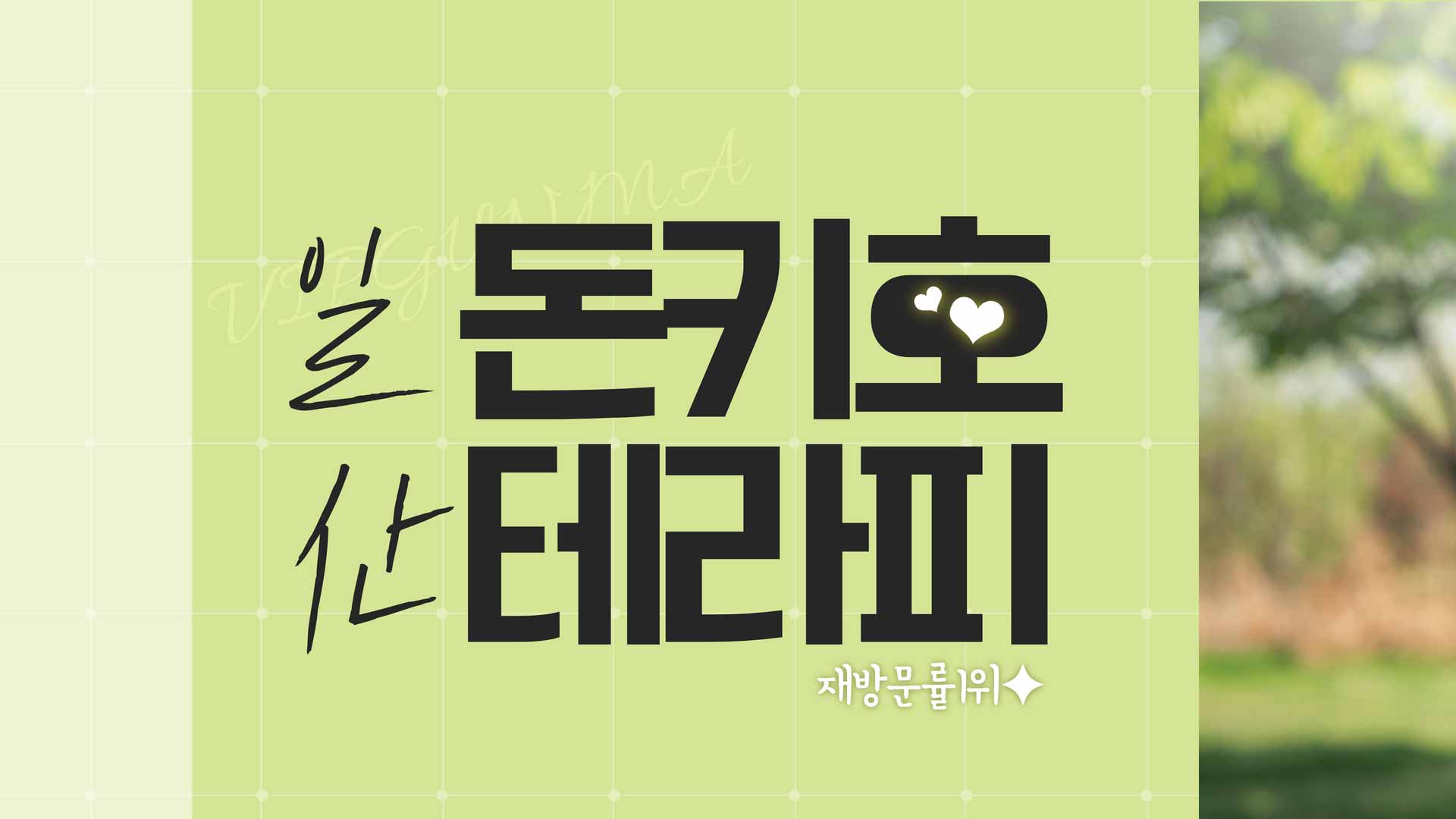 일산-돈키호테라피