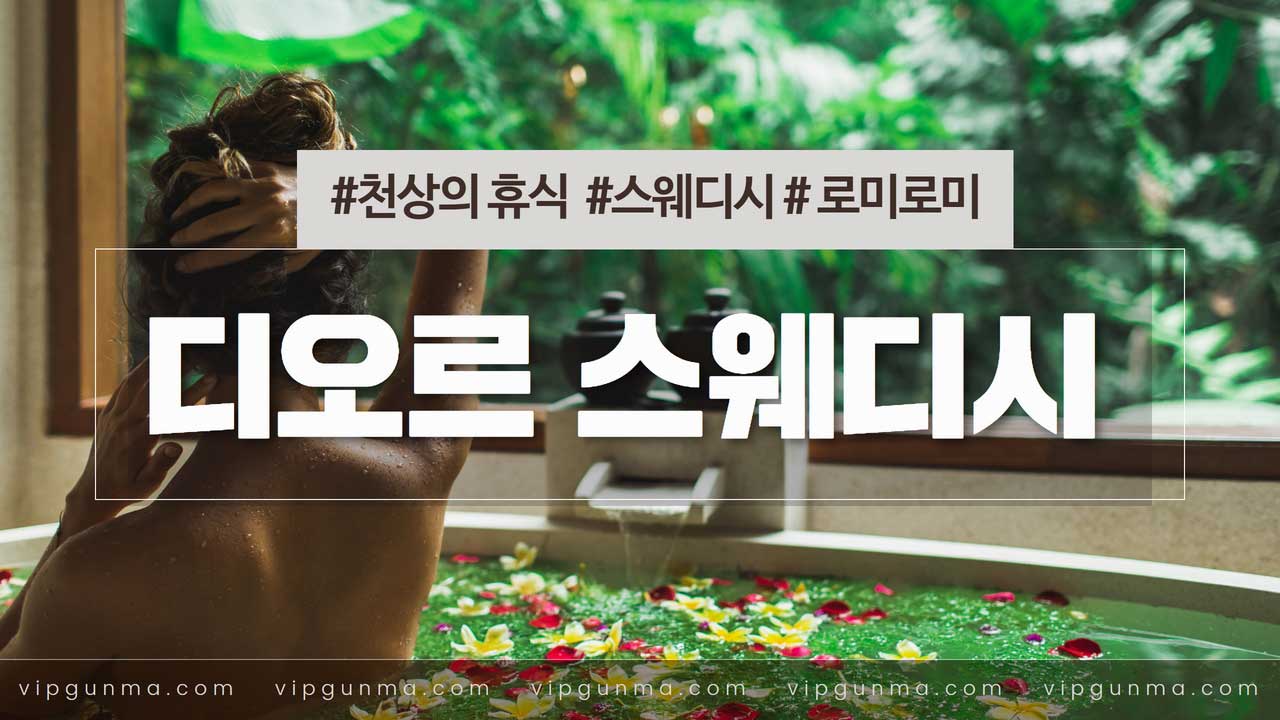 노원-디오르 스웨디시