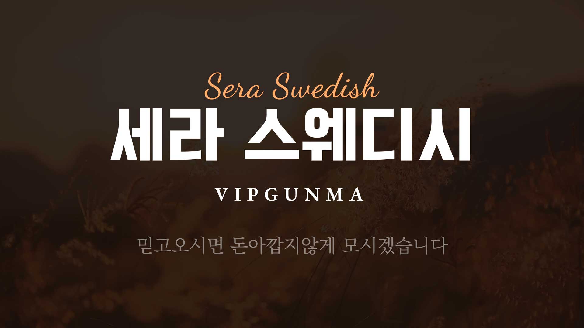 노원-세라스웨디시