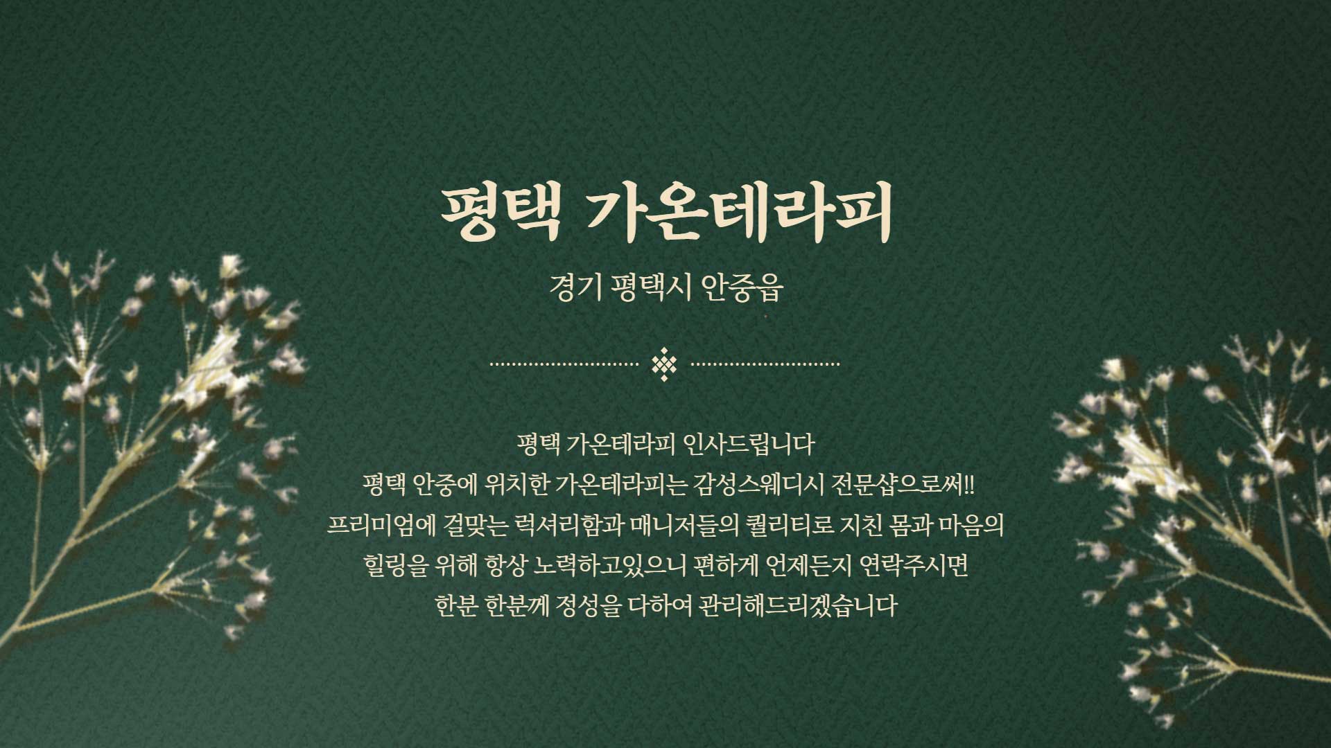 평택-가온테라피(안중)