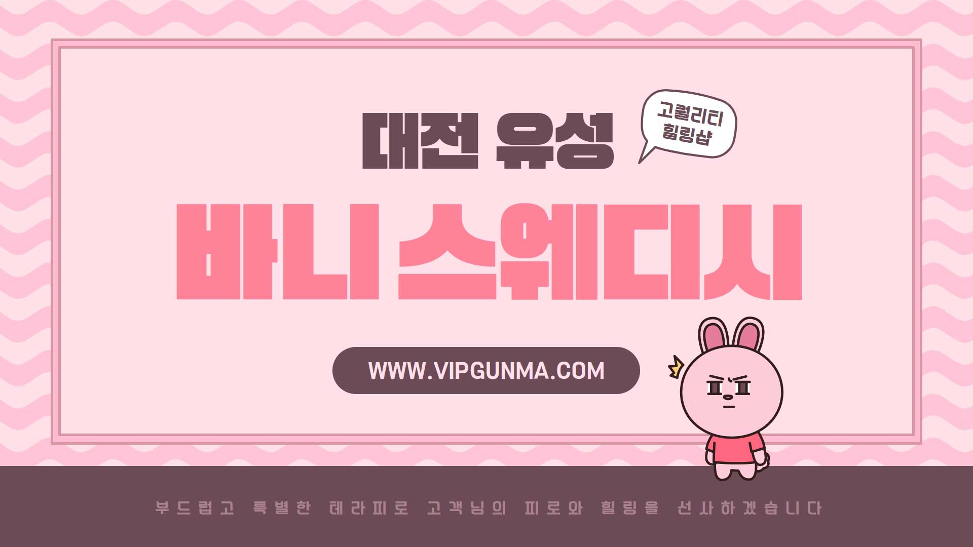 대전-바니스웨디시