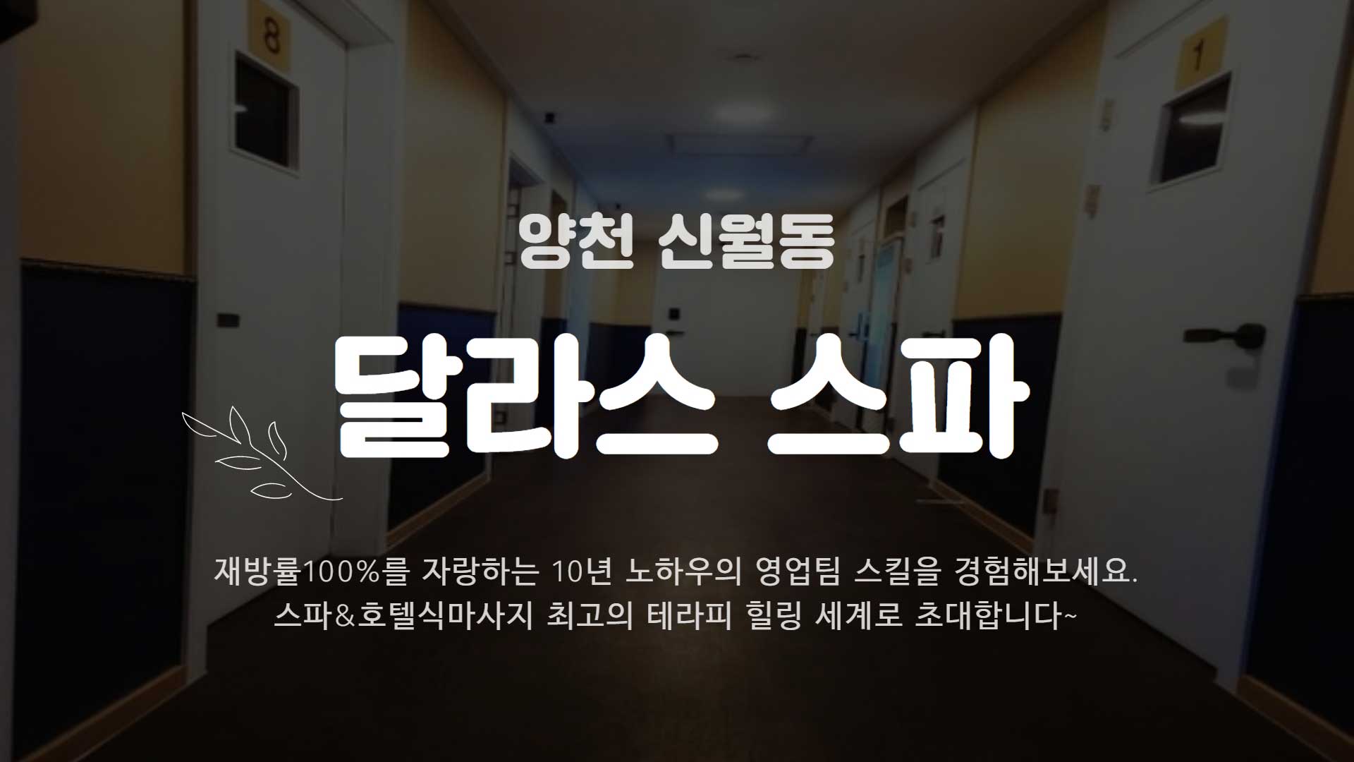 양천-달라스 호텔식마사지