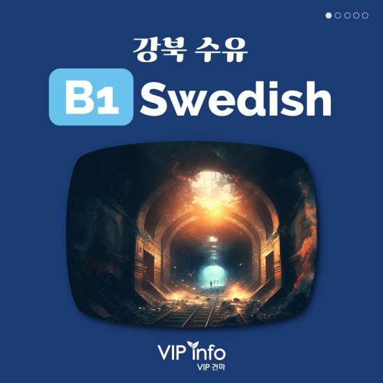 수유-B1스웨디시