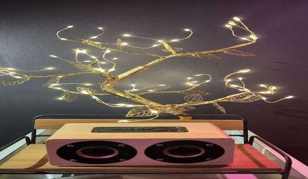 강남 일원동 VIP스웨디시&왁싱 스피커