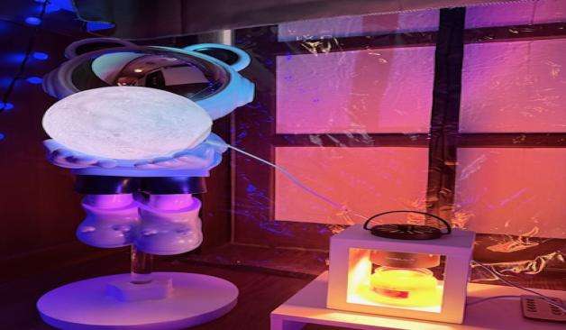 일산 장항동 바디문 왁싱테라피 조명