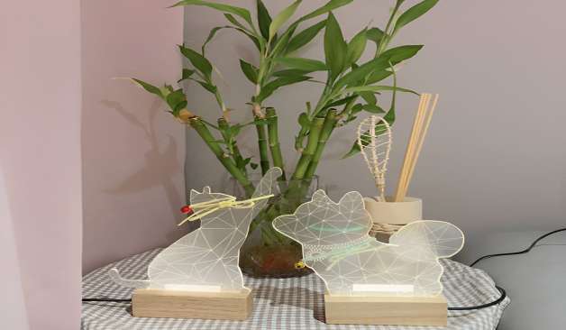 금천 가산 1인샵 루시 식물 실제 샵사진