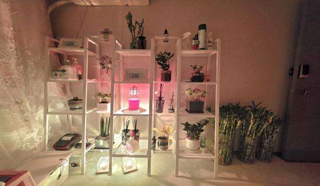 구로 부가테라피 진열장