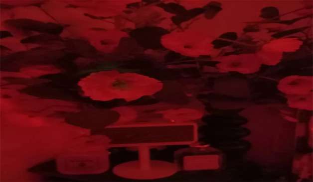 강남 1인샵 관종이체질테라피