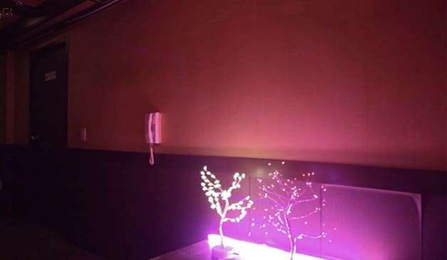 울산 삼산동 나비테라피 조명