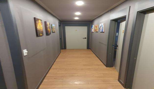 대구-비숑테라피(지산동)