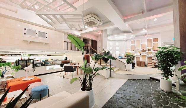 강남 삼성동 스파리우 리뷰