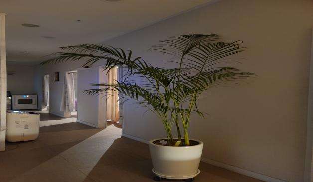 남양주 별내 별가람마사지 복도 실제 샵사진2