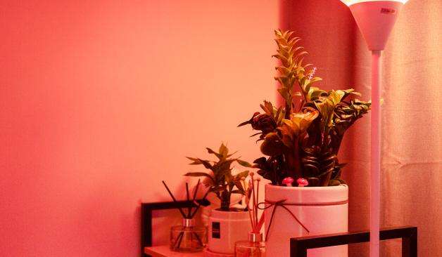 부산 기장군 정관읍 매학리 화분