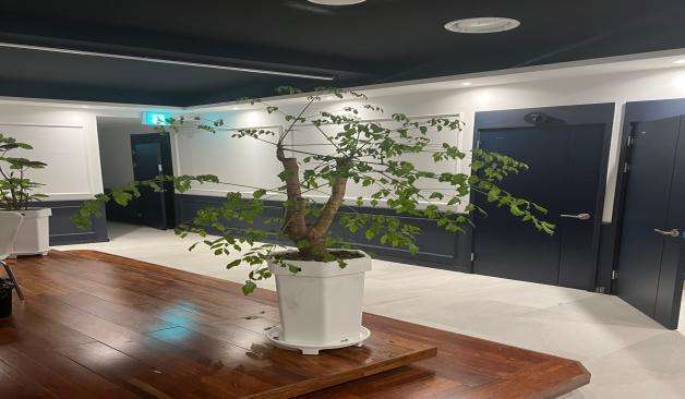 상무지구 세차장스웨디시