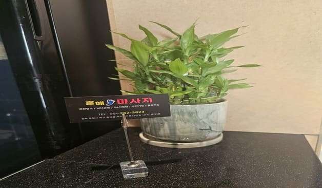 포항 흥해읍 흥해마사지 식물