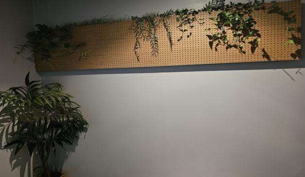 안양 평촌 뉴힐링마사지 벽면