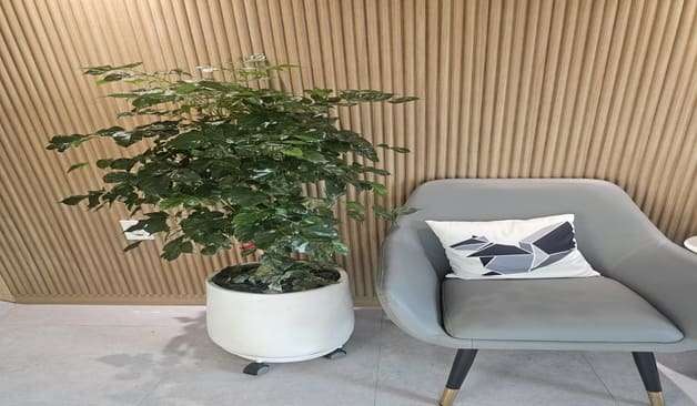 포항 흥해 흥해마사지 정보