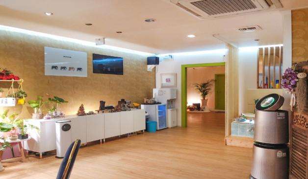 강릉 포남동 용타이테라피 로비