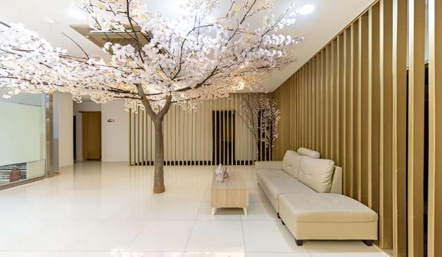 청주 용담동 비비타이 후기