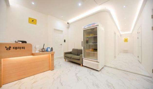 평택 동삭동 냥테라피 카운터