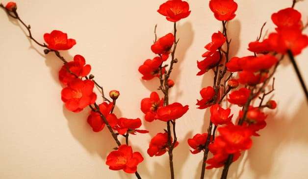 대치동 케렌시아