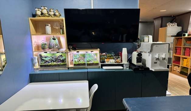 군산 지곡동 발리아로마테라피 후기