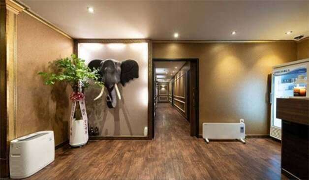 일산-미스웨디시