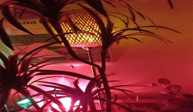 강남 선릉 1인샵 스맥테라피