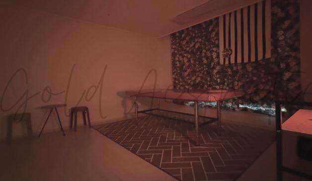 병점 골드스웨디시